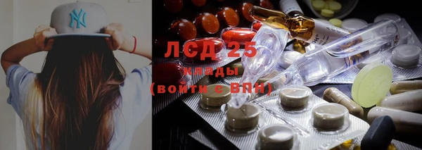 a pvp Алзамай